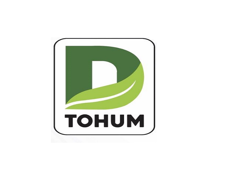 DETAY TOHUM